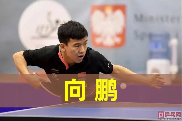 文化适应三 文化适应三