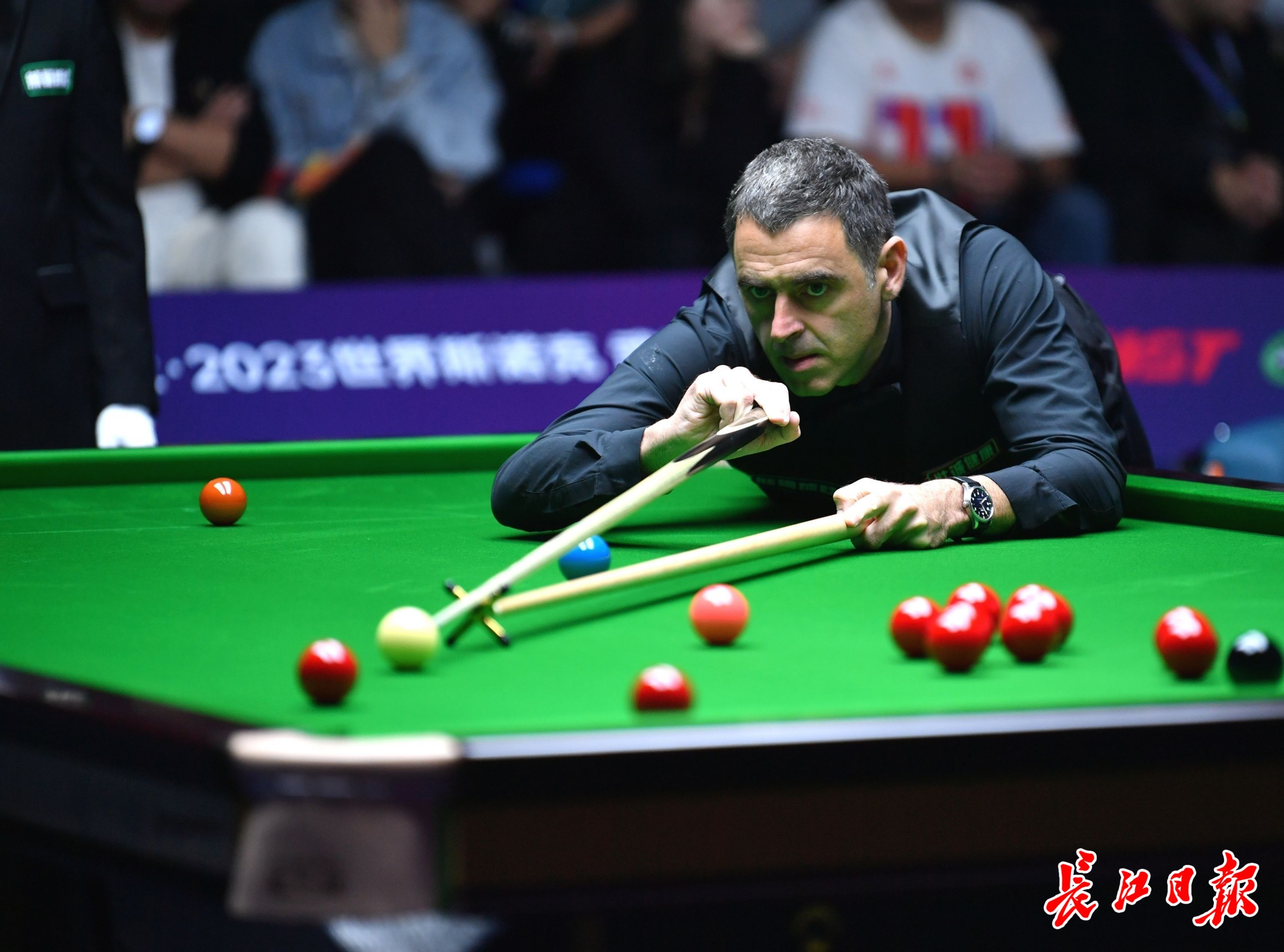 山东省举摔 山东省举摔