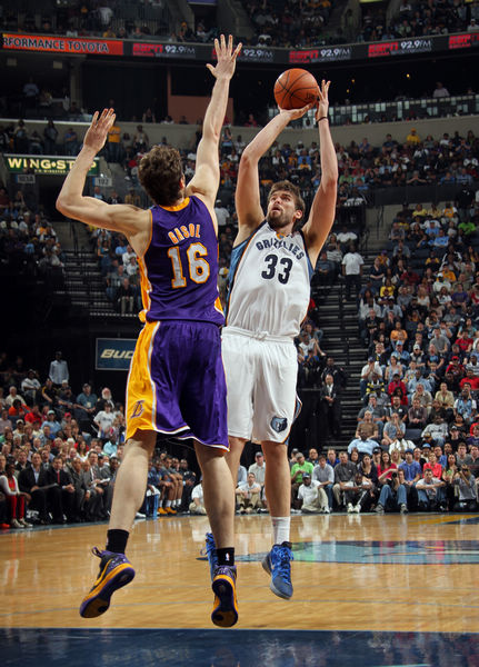 训练恢复 训练恢复