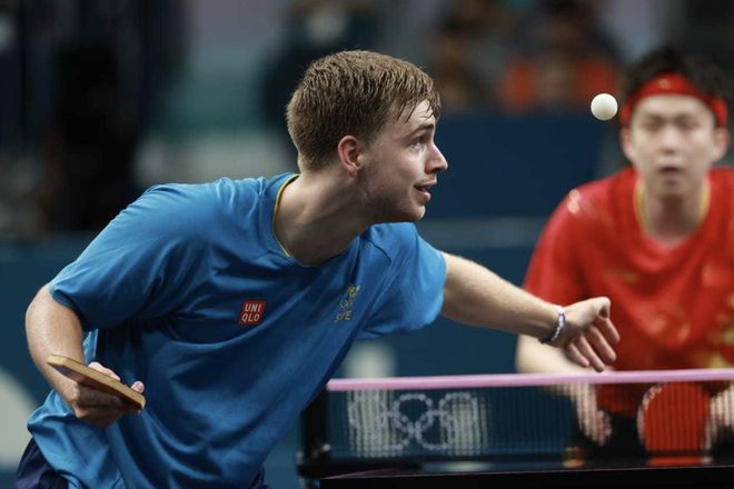 部分声称这 部分声称这